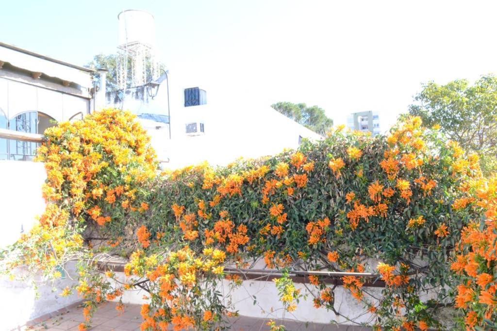 Casa Colonial En Salta Nueva Y Antigua Apartman Kültér fotó